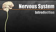 The Nervous System In 9 Minutes
