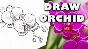 HOW TO DRAW AN ORCHID Step by Step Drawing Tutorial. Guided realistic blooming flower sketch