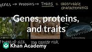 Genes, proteins, and traits | Inheritance and variation | Middle school biology | Khan Academy