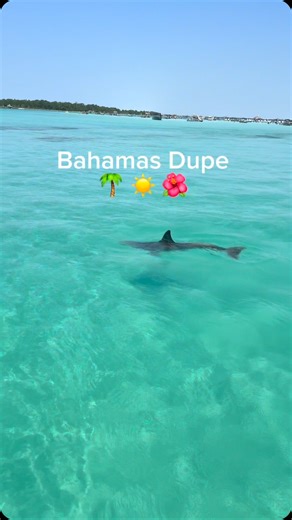 2.8K views · 19K reactions | Crab island and Destin, FL are the ultimate Bahamas, BVI, or Maldives vacation dupe! All the same vibes with no passport and flights super cheap into VPS with Allegiant. | Destin Crab Island Adventures | Facebook
