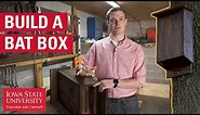 How to Build a Bat Box