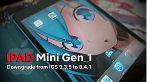 iPad Mini Generation 1 - 2022 Tutorial Downgrade from ios 9.3.5 to 8.4.1