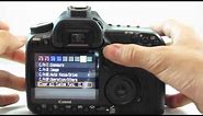Canon EOS 40D 10.1MP Digital SLR Camera Full Review w/ Sample Pic's