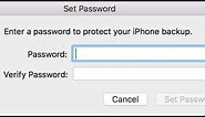 How to recover iTunes backup password for all iOS versions