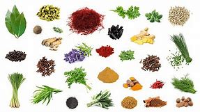 English Vocabulary - HERBS and SPICES