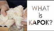 What is Kapok?