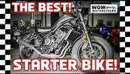 2022 Honda® Rebel 500 | The Best Starter Bike?!