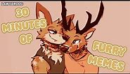 30 minutes of furry memes for cuties
