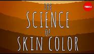 The science of skin color - Angela Koine Flynn