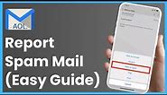 How to Report a Spam Email on AOL Mail !