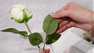 Hotop 20 Pcs Rose Artificial Flowers with Long Stem Realistic Silk Roses Bulk Real Touch Plastic Bouquet of Roses for Home Bridal Wedding Party Table Centerpieces Decorations (White)