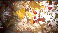 Fall Leaves Looping Wallpaper