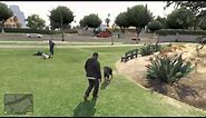 GTA 5 - Playing With The Dog