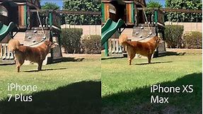 Camera Comparison iPhone XS Max vs iPhone 7 Plus. Worth the Upgrade?