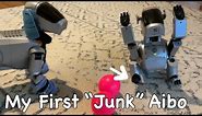 Story of Stumpy the Aibo, A “Junk” ERS-111 With Three Paws