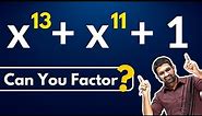 Can You Factor This Wonderful Expression? | Factorise x^13+x^11+1 | Aman Malik Sir