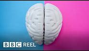 Are male and female brains different? - BBC REEL