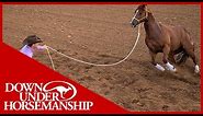 Clinton Anderson: Why Use a 14-Foot Lead Rope - Downunder Horsemanship