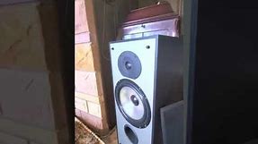 Nancy Sinatra through a pair of paradigm 5se Mk3 floor-standing speakers