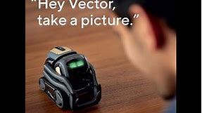Vector Robot features, importance, review & What can Vector robots do?