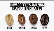 Coffee Roasting Explained