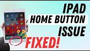 iPad Home Button Not Working Here's What to Do