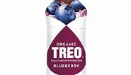 Treo Blueberry Flavored-Infused Bottled Birch Water, 16 oz