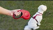 Top 5 Best Retractable Dog Leashes in 2023 [Review] - Make Your Selection