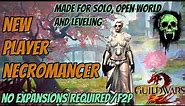 Ultimate Necromancer Solo & Open World & Leveling Build Guide | no expansion & F2P | Guild Wars 2