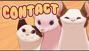 Contact | meme (ft. pop cat & friends)
