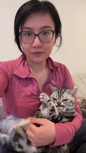 Why China's Marriage Laws Have Changed: Exploring Monogamy and Polygamy