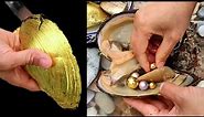 Atlantic gold pearl shells occur in abundance. Perfect! Get many golden pearls at once