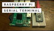 Raspberry Pi: How to Connect Using Serial