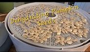 Easy Way to Dehydrate Pumpkin or Squash Seeds 🎃