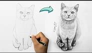Cómo Dibujar a un Gato Realista PASO a PASO a lápiz