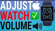 How To Adjust Volume on Apple Watch (Series 6,5,4,3,SE)