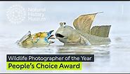 People's Choice Award | Wildlife Photographer of the Year