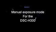 Sony dsc-h300 Manuel mode guide
