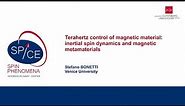 Talks - Terahertz Spintronics 2023 - Stefano BONETTI, Venice University