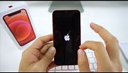 How to Force Turn OFF/Restart iPhone 12 Mini - Frozen Screen Fix