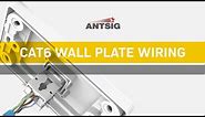 ANTSIG : How to Wire a CAT6 Wall Plate