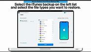 How to Restore from iTunes Backup File