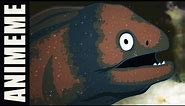 BAD JOKE EEL