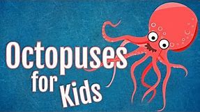 Octopuses for Kids