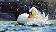 Watercolor painting of a swan