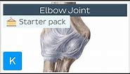 Elbow Joint: Bones, Muscles & Movement - Human Anatomy | Kenhub