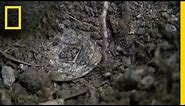 Chinese Coin | National Geographic