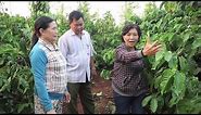 Vietnam: Sustainable Farming for Higher Productivity and a Better Environment