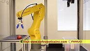 Apple Picking Robot Uses Soft Robotics Gripper & FANUC 3D Visi...