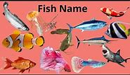 Fun Fish Facts for Kids: Learn Different Fish Names! 🐠🐟🌊| Kids Storybook Cottage